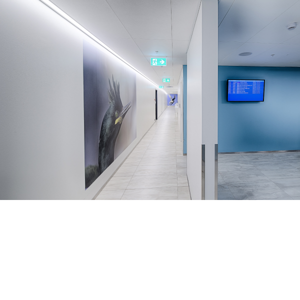 Ljós og lýsing í Flugstöð Leifs Eiríkssonar