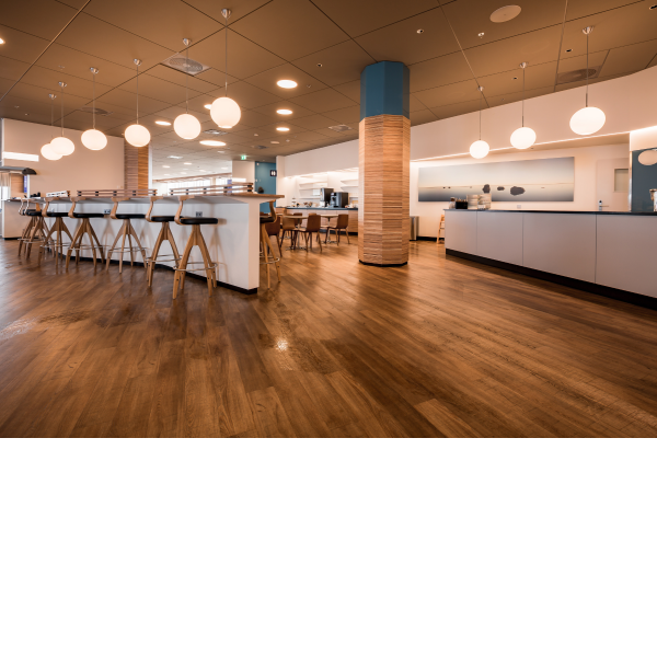 Ljós fyrir Saga Lounge, Icelandair verkefnið