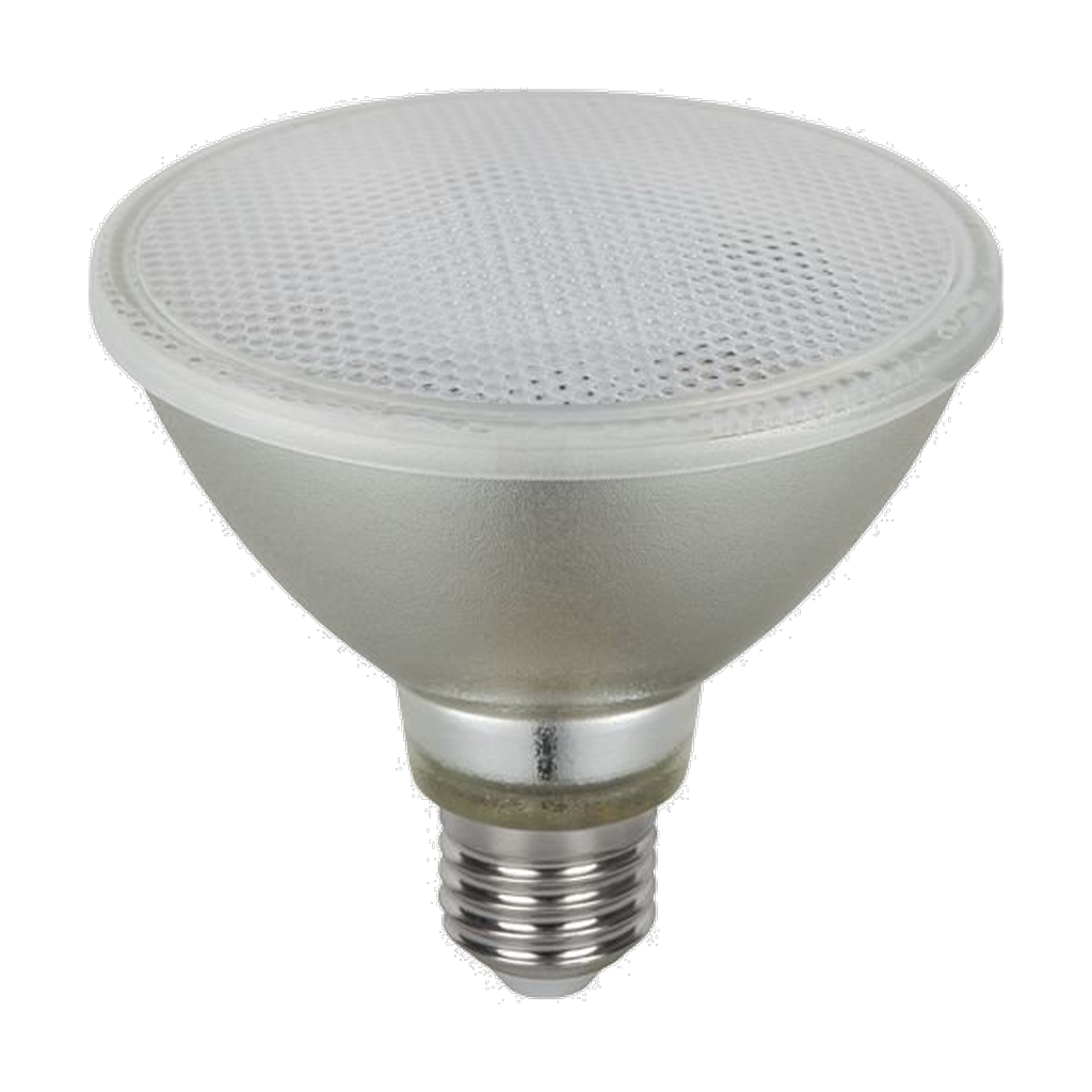 LED PAR30 10W 630lm 27K dimmanleg IP65