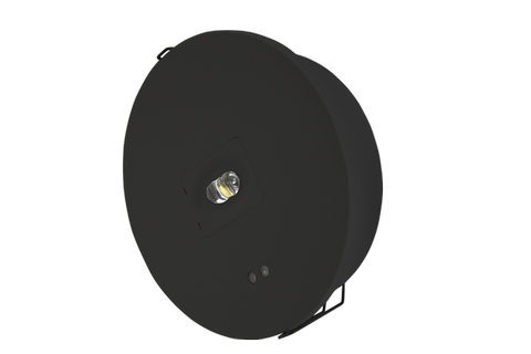 Chloe Spot Light svart innfellt