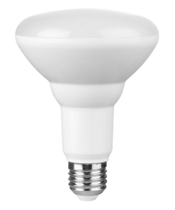 LED R80 10W